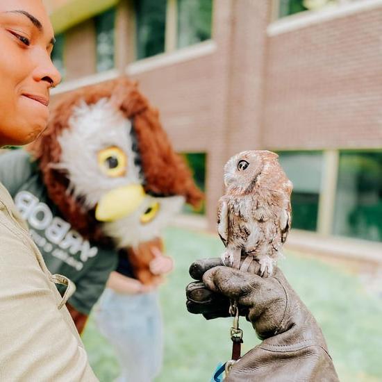 Arbor mascot at raptor center.